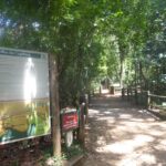 Trilha no Parque Nacional de Brasília
